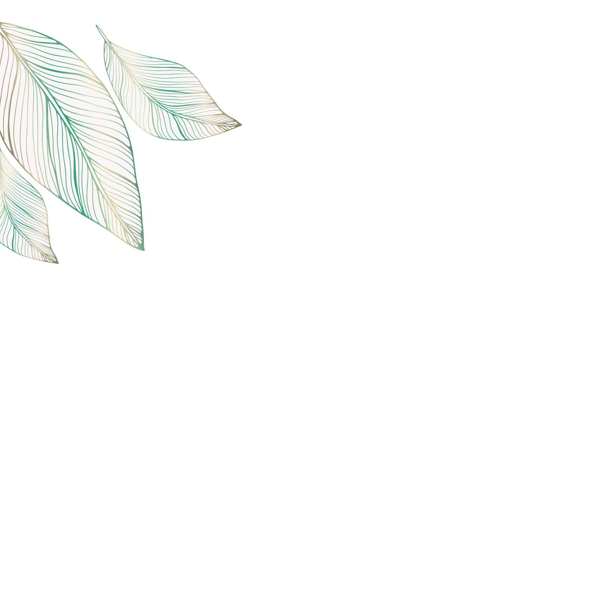 Leaves - left