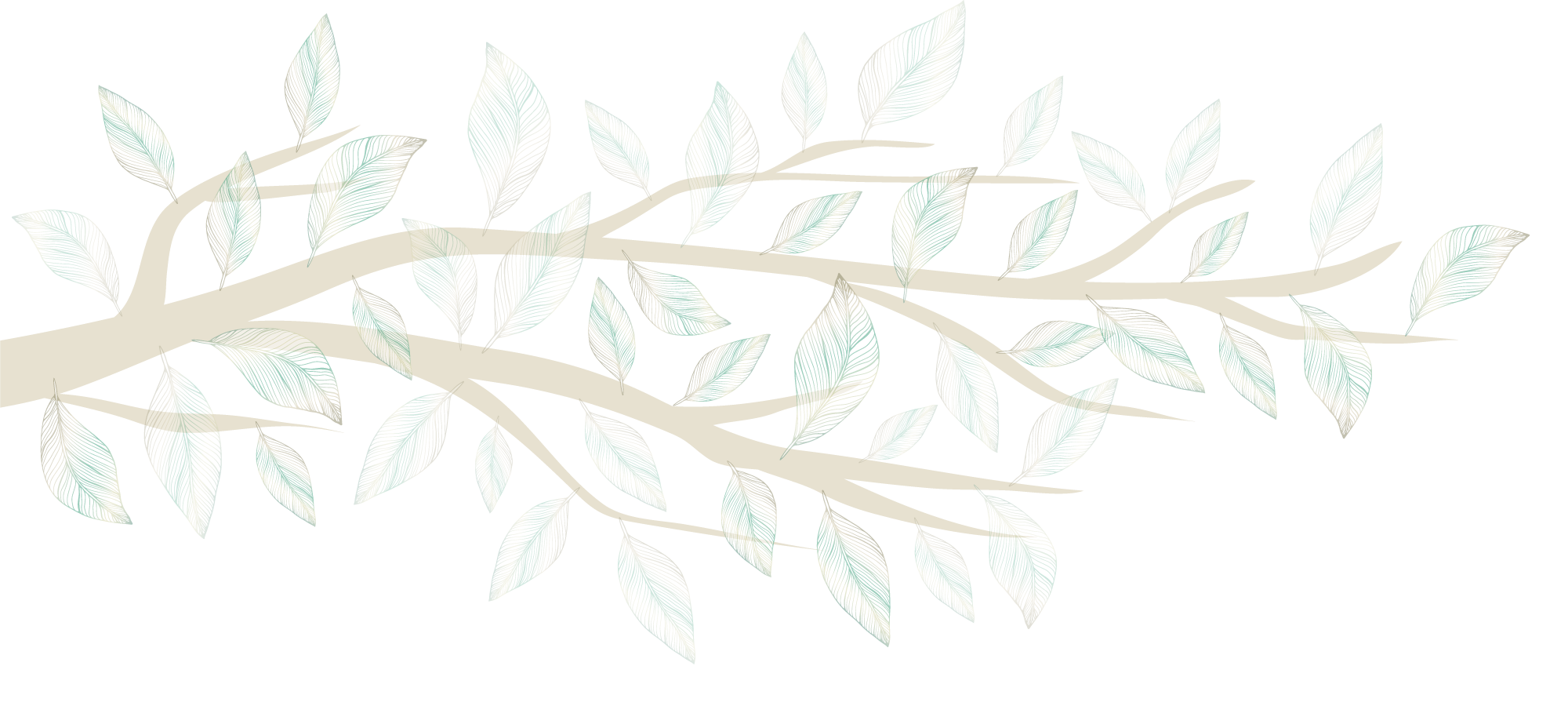 Branch from left