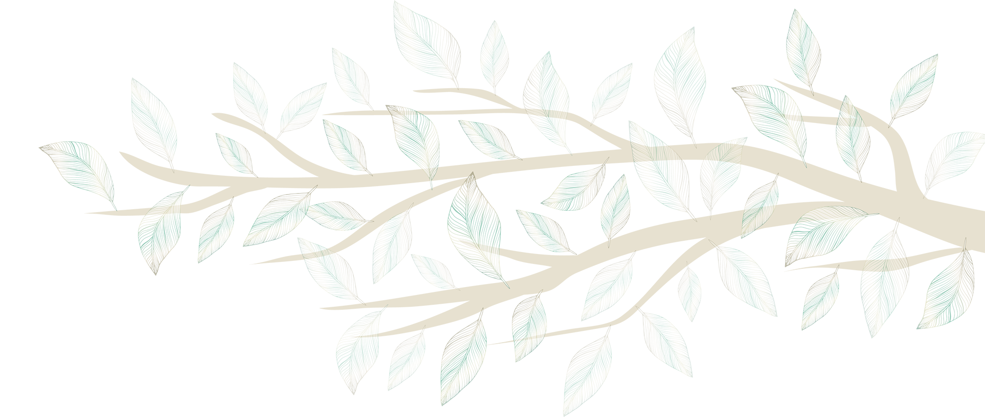 Branch from right
