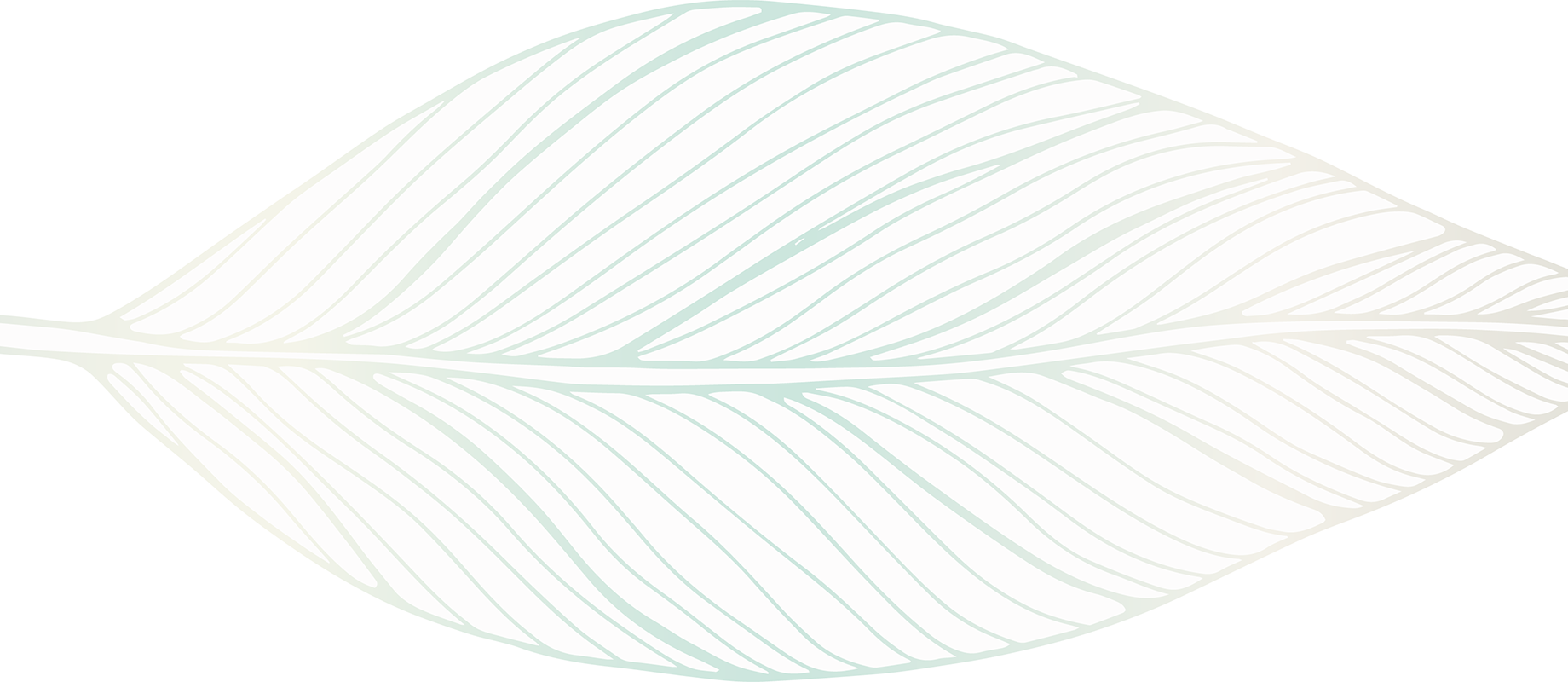 Leaf, cropped