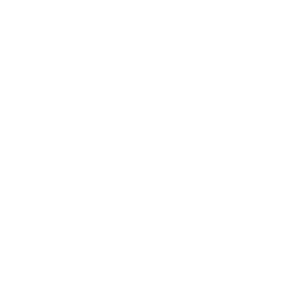 Arrow Icon