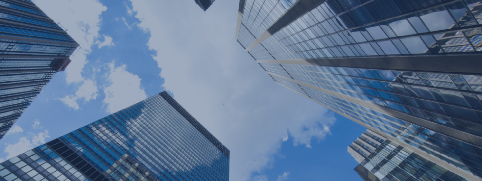[IBF Career Advisory Event, 13 August] Unlock your next career opportunity in Banking