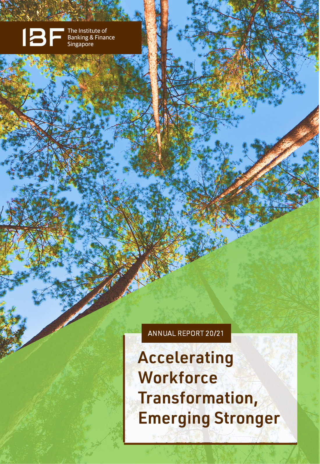 IBF Annual Report 2020